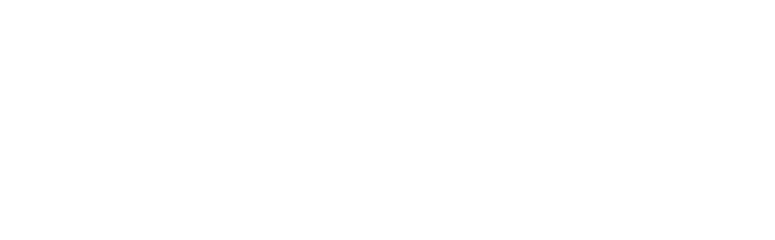 Woolpert Logo White NoTag